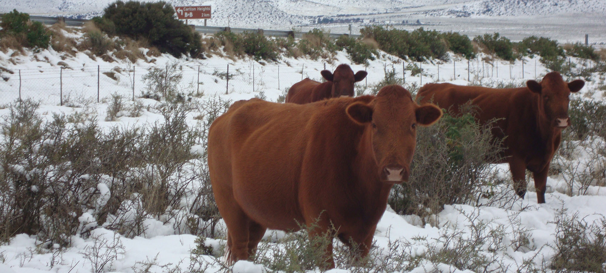 WINTERS OFTEN BRING SNOW IN THE UPPER EASTERN KAROO REGION SLIDE